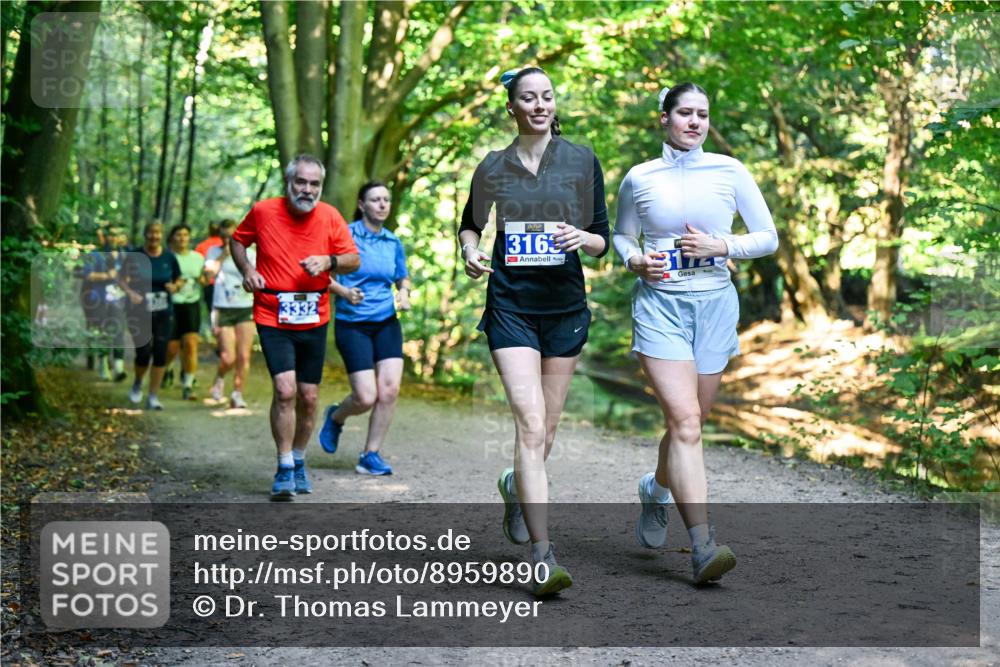 28.09.2025 - 33. Volkslauf durch das schöne Alstertal Dr. Thomas Lammeyer http://msf.ph/oto/8959890 28.09.2025 10:56:54 Laufen 3332, 316 meine-sportfotos.de
