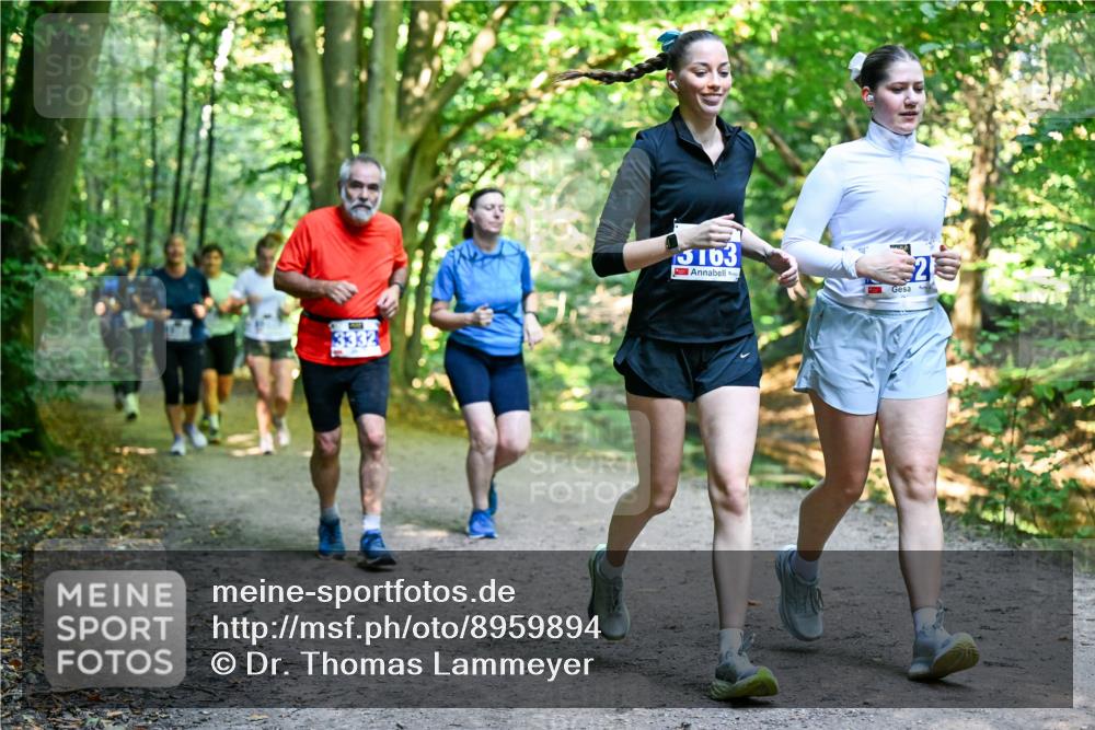 28.09.2025 - 33. Volkslauf durch das schöne Alstertal Dr. Thomas Lammeyer http://msf.ph/oto/8959894 28.09.2025 10:56:54 Laufen 3332, 5163, 4, 25 meine-sportfotos.de