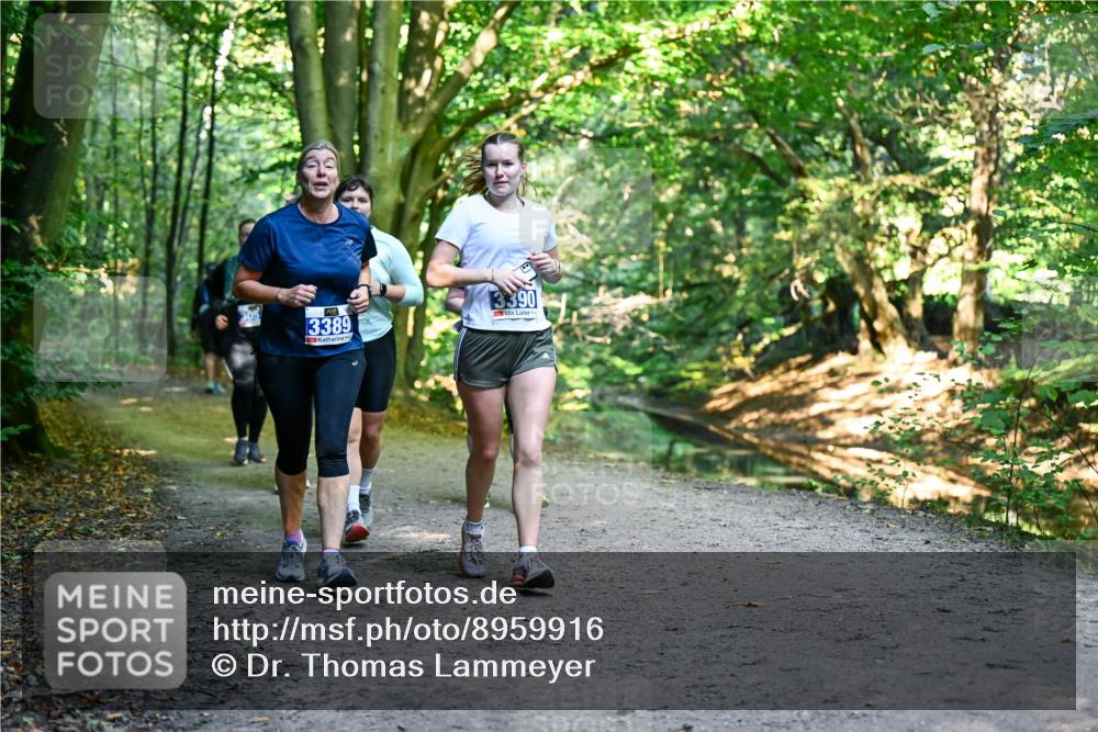 28.09.2025 - 33. Volkslauf durch das schöne Alstertal Dr. Thomas Lammeyer http://msf.ph/oto/8959916 28.09.2025 10:56:58 Laufen 305, 3389, 3390 meine-sportfotos.de