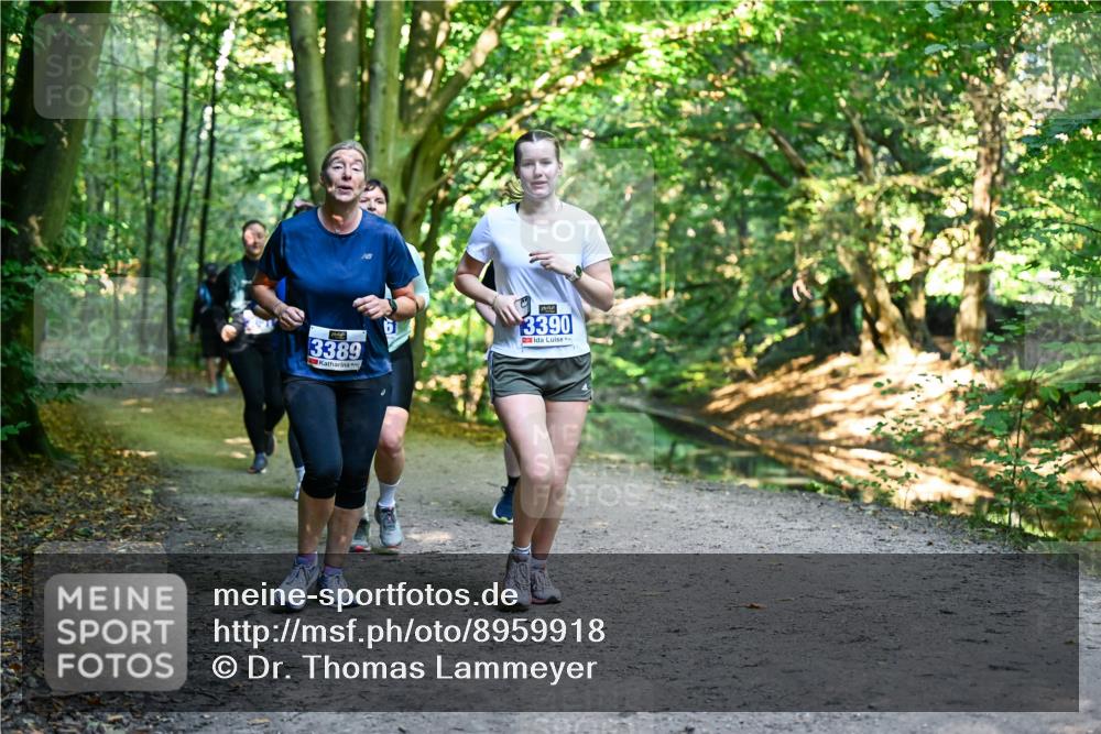 28.09.2025 - 33. Volkslauf durch das schöne Alstertal Dr. Thomas Lammeyer http://msf.ph/oto/8959918 28.09.2025 10:56:58 Laufen 3389, 3390 meine-sportfotos.de