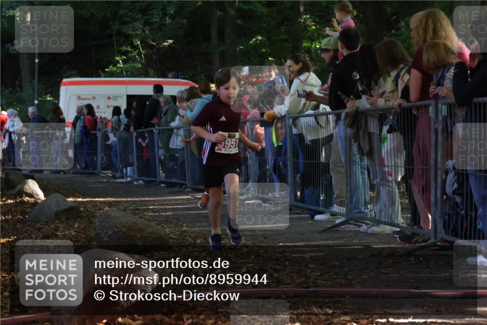 28.09.2025 - 33. Volkslauf durch das schöne Alstertal Strokosch-Dieckow http://msf.ph/oto/8959944 28.09.2025 10:47:20 Ziel 5951, 5960 meine-sportfotos.de