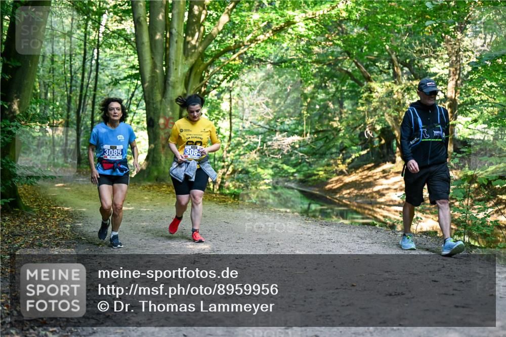28.09.2025 - 33. Volkslauf durch das schöne Alstertal Dr. Thomas Lammeyer http://msf.ph/oto/8959956 28.09.2025 10:57:11 Laufen 3085, 3084 meine-sportfotos.de