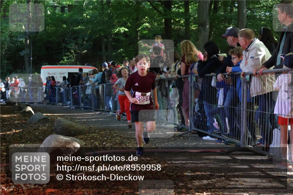 28.09.2025 - 33. Volkslauf durch das schöne Alstertal Strokosch-Dieckow http://msf.ph/oto/8959958 28.09.2025 10:47:21 Ziel 5951, 5960 meine-sportfotos.de