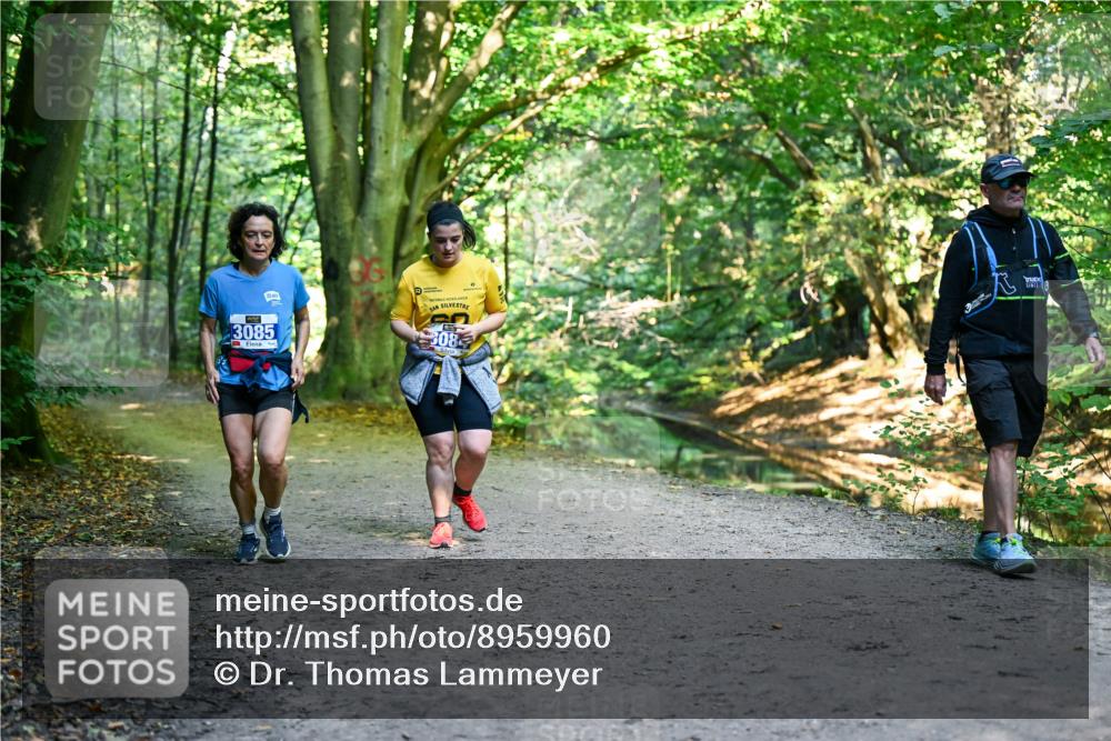 28.09.2025 - 33. Volkslauf durch das schöne Alstertal Dr. Thomas Lammeyer http://msf.ph/oto/8959960 28.09.2025 10:57:11 Laufen 3085, 308 meine-sportfotos.de