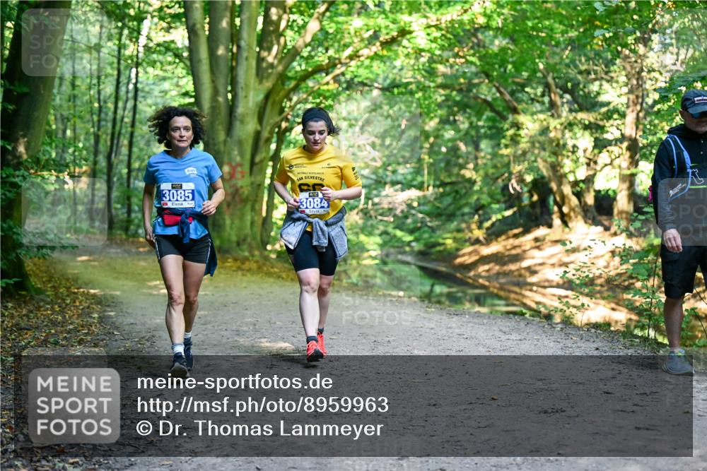 28.09.2025 - 33. Volkslauf durch das schöne Alstertal Dr. Thomas Lammeyer http://msf.ph/oto/8959963 28.09.2025 10:57:12 Laufen 3085, 3084 meine-sportfotos.de