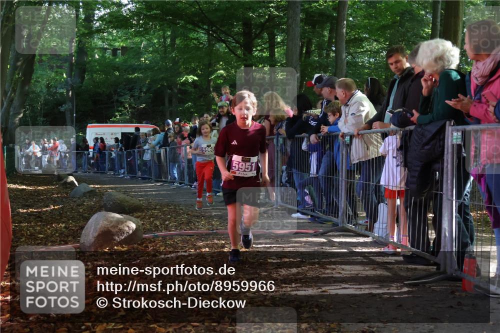 28.09.2025 - 33. Volkslauf durch das schöne Alstertal Strokosch-Dieckow http://msf.ph/oto/8959966 28.09.2025 10:47:21 Ziel 5951, 5960 meine-sportfotos.de