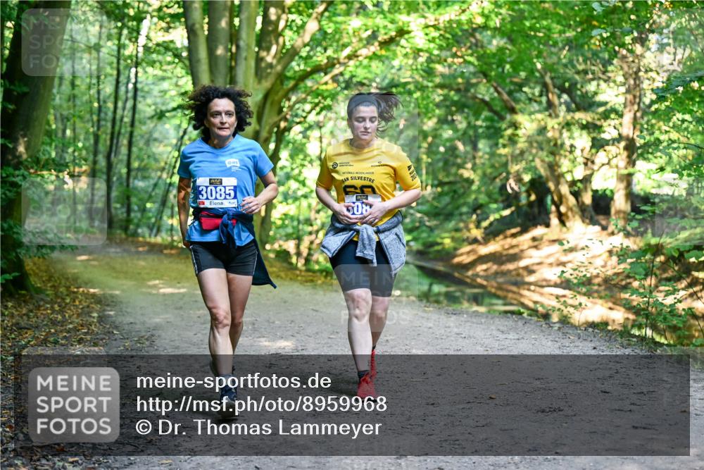28.09.2025 - 33. Volkslauf durch das schöne Alstertal Dr. Thomas Lammeyer http://msf.ph/oto/8959968 28.09.2025 10:57:12 Laufen 3085, 508, 20 meine-sportfotos.de