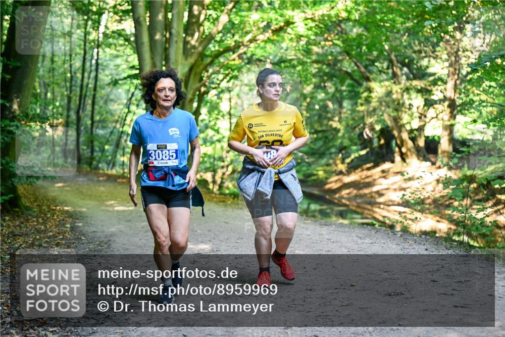 28.09.2025 - 33. Volkslauf durch das schöne Alstertal Dr. Thomas Lammeyer http://msf.ph/oto/8959969 28.09.2025 10:57:12 Laufen 3085 meine-sportfotos.de