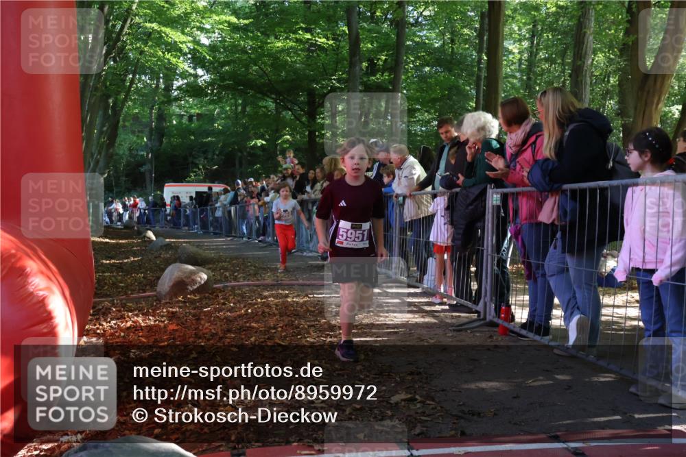 28.09.2025 - 33. Volkslauf durch das schöne Alstertal Strokosch-Dieckow http://msf.ph/oto/8959972 28.09.2025 10:47:22 Ziel 5951, 5960 meine-sportfotos.de