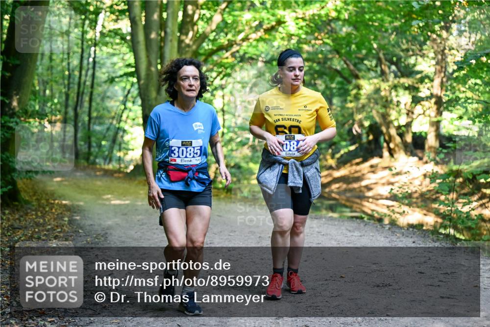28.09.2025 - 33. Volkslauf durch das schöne Alstertal Dr. Thomas Lammeyer http://msf.ph/oto/8959973 28.09.2025 10:57:13 Laufen 3085, 08 meine-sportfotos.de
