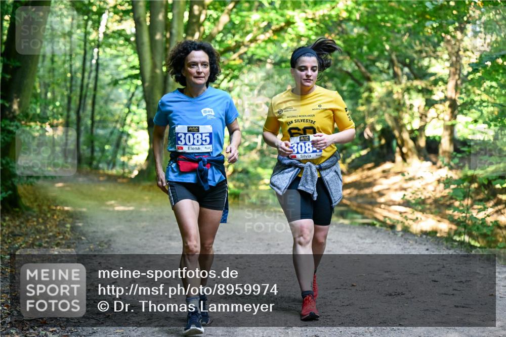 28.09.2025 - 33. Volkslauf durch das schöne Alstertal Dr. Thomas Lammeyer http://msf.ph/oto/8959974 28.09.2025 10:57:13 Laufen 3085, 308 meine-sportfotos.de
