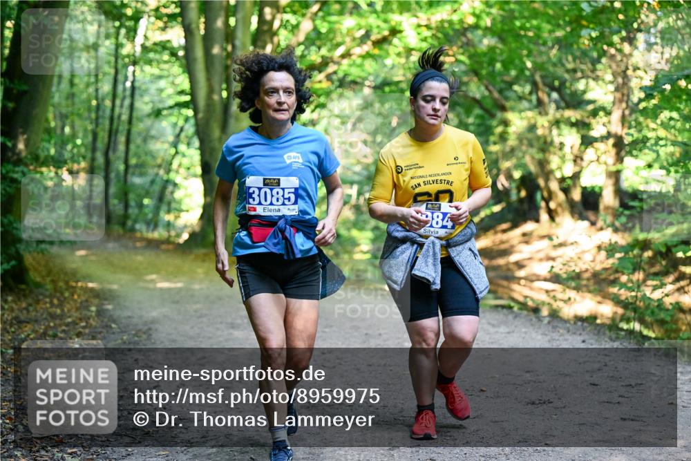 28.09.2025 - 33. Volkslauf durch das schöne Alstertal Dr. Thomas Lammeyer http://msf.ph/oto/8959975 28.09.2025 10:57:13 Laufen 3085, 984 meine-sportfotos.de