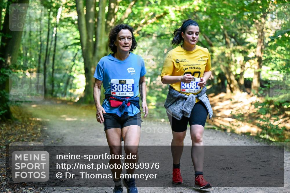 28.09.2025 - 33. Volkslauf durch das schöne Alstertal Dr. Thomas Lammeyer http://msf.ph/oto/8959976 28.09.2025 10:57:13 Laufen 3084, 3085 meine-sportfotos.de