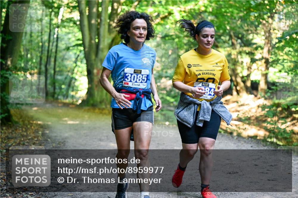 28.09.2025 - 33. Volkslauf durch das schöne Alstertal Dr. Thomas Lammeyer http://msf.ph/oto/8959977 28.09.2025 10:57:13 Laufen 3085, 84 meine-sportfotos.de