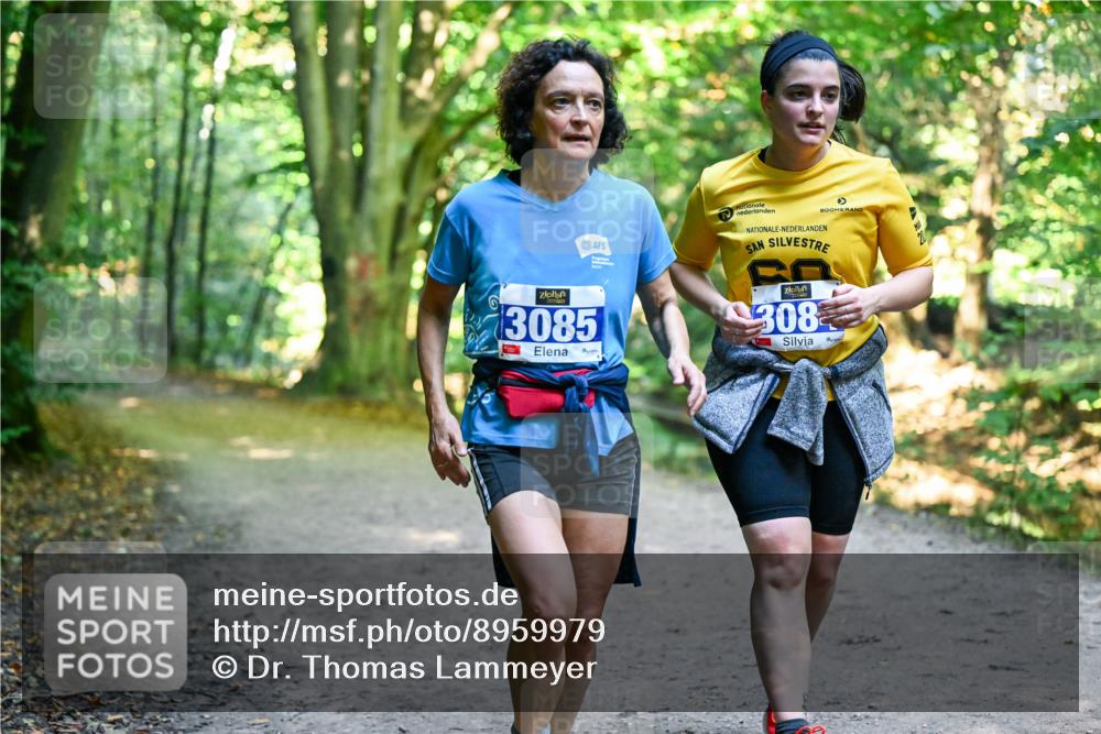 28.09.2025 - 33. Volkslauf durch das schöne Alstertal Dr. Thomas Lammeyer http://msf.ph/oto/8959979 28.09.2025 10:57:14 Laufen 3085, 308 meine-sportfotos.de