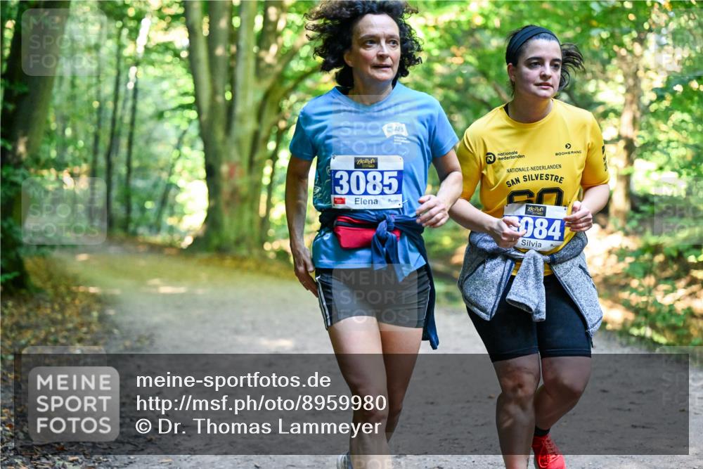 28.09.2025 - 33. Volkslauf durch das schöne Alstertal Dr. Thomas Lammeyer http://msf.ph/oto/8959980 28.09.2025 10:57:14 Laufen 3085, 084 meine-sportfotos.de