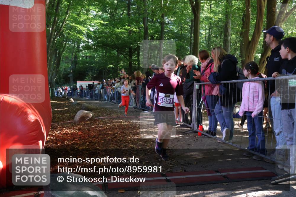 28.09.2025 - 33. Volkslauf durch das schöne Alstertal Strokosch-Dieckow http://msf.ph/oto/8959981 28.09.2025 10:47:22 Ziel 5951, 5960 meine-sportfotos.de