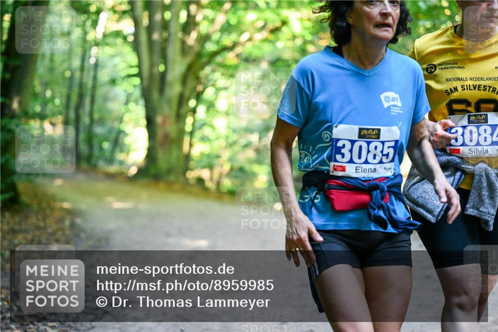 28.09.2025 - 33. Volkslauf durch das schöne Alstertal Dr. Thomas Lammeyer http://msf.ph/oto/8959985 28.09.2025 10:57:14 Laufen 3085, 3084 meine-sportfotos.de