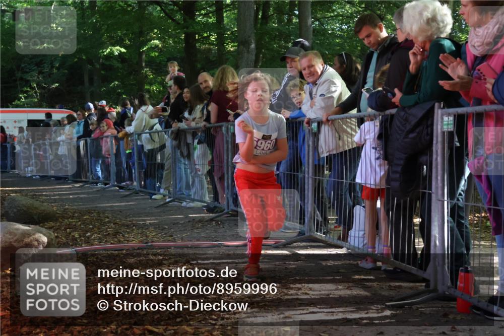 28.09.2025 - 33. Volkslauf durch das schöne Alstertal Strokosch-Dieckow http://msf.ph/oto/8959996 28.09.2025 10:47:23 Ziel 5960 meine-sportfotos.de