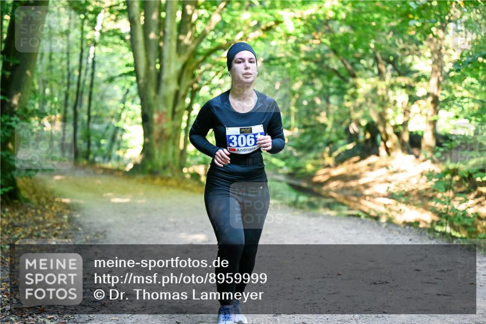 28.09.2025 - 33. Volkslauf durch das schöne Alstertal Dr. Thomas Lammeyer http://msf.ph/oto/8959999 28.09.2025 10:57:33 Laufen 306 meine-sportfotos.de