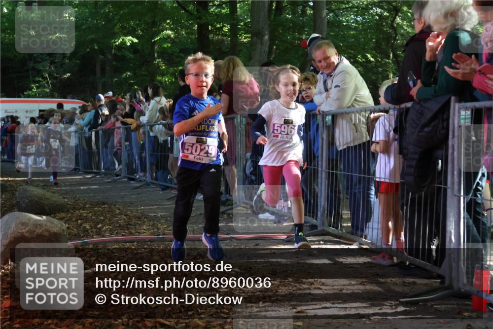 28.09.2025 - 33. Volkslauf durch das schöne Alstertal Strokosch-Dieckow http://msf.ph/oto/8960036 28.09.2025 10:47:36 Ziel 5004, 5029, 5035, 5049, 5961 meine-sportfotos.de