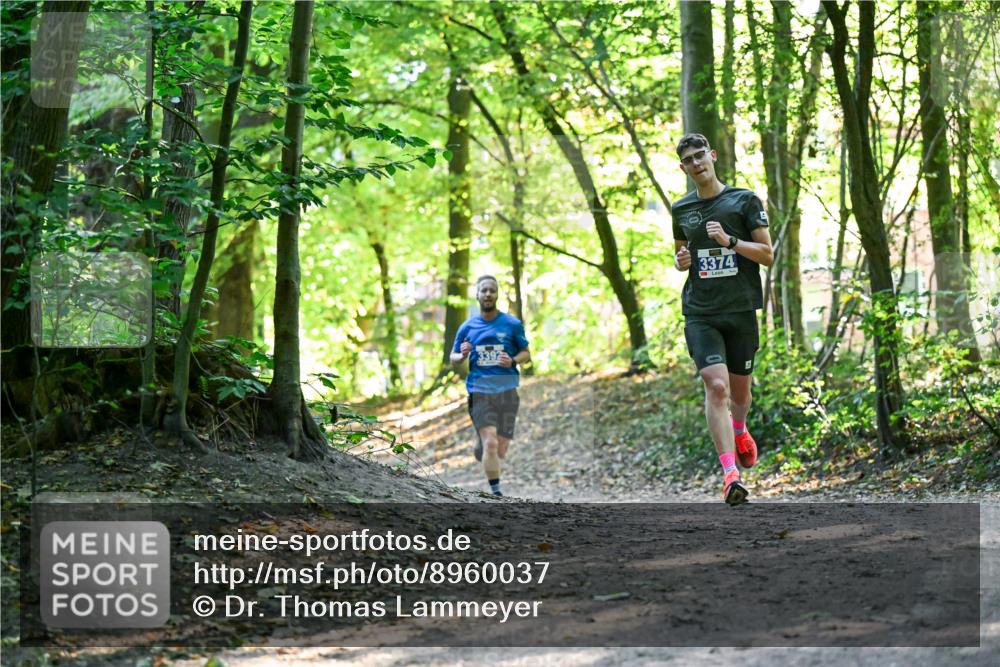 28.09.2025 - 33. Volkslauf durch das schöne Alstertal Dr. Thomas Lammeyer http://msf.ph/oto/8960037 28.09.2025 10:58:56 Laufen 3374, 3392 meine-sportfotos.de