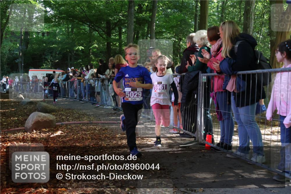 28.09.2025 - 33. Volkslauf durch das schöne Alstertal Strokosch-Dieckow http://msf.ph/oto/8960044 28.09.2025 10:47:36 Ziel 5004, 5029, 5035, 5049, 5961 meine-sportfotos.de