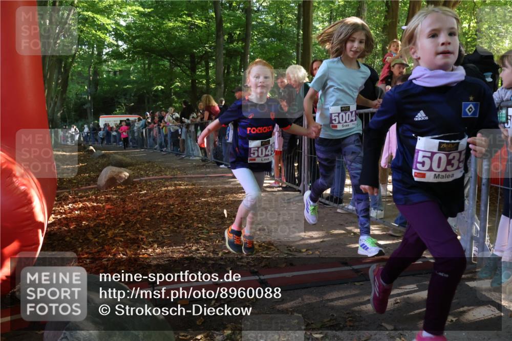 28.09.2025 - 33. Volkslauf durch das schöne Alstertal Strokosch-Dieckow http://msf.ph/oto/8960088 28.09.2025 10:47:41 Ziel 5004, 5017, 5035, 5049, 5957 meine-sportfotos.de
