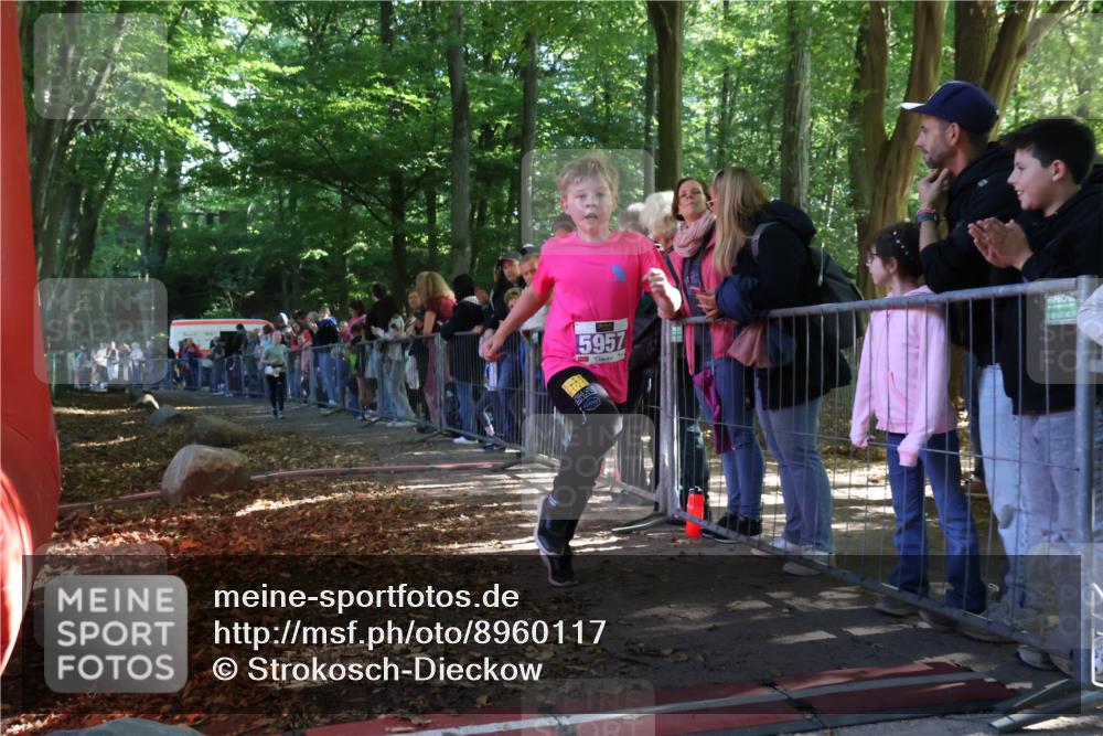28.09.2025 - 33. Volkslauf durch das schöne Alstertal Strokosch-Dieckow http://msf.ph/oto/8960117 28.09.2025 10:47:47 Ziel 5017, 5957 meine-sportfotos.de
