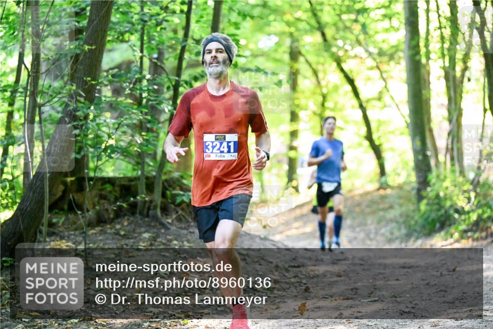 28.09.2025 - 33. Volkslauf durch das schöne Alstertal Dr. Thomas Lammeyer http://msf.ph/oto/8960136 28.09.2025 10:59:47 Laufen 3241 meine-sportfotos.de