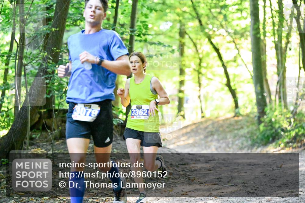 28.09.2025 - 33. Volkslauf durch das schöne Alstertal Dr. Thomas Lammeyer http://msf.ph/oto/8960152 28.09.2025 10:59:51 Laufen 3079, 3362 meine-sportfotos.de