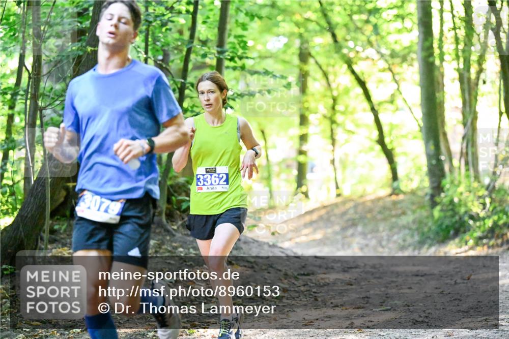 28.09.2025 - 33. Volkslauf durch das schöne Alstertal Dr. Thomas Lammeyer http://msf.ph/oto/8960153 28.09.2025 10:59:51 Laufen 3079, 3362 meine-sportfotos.de