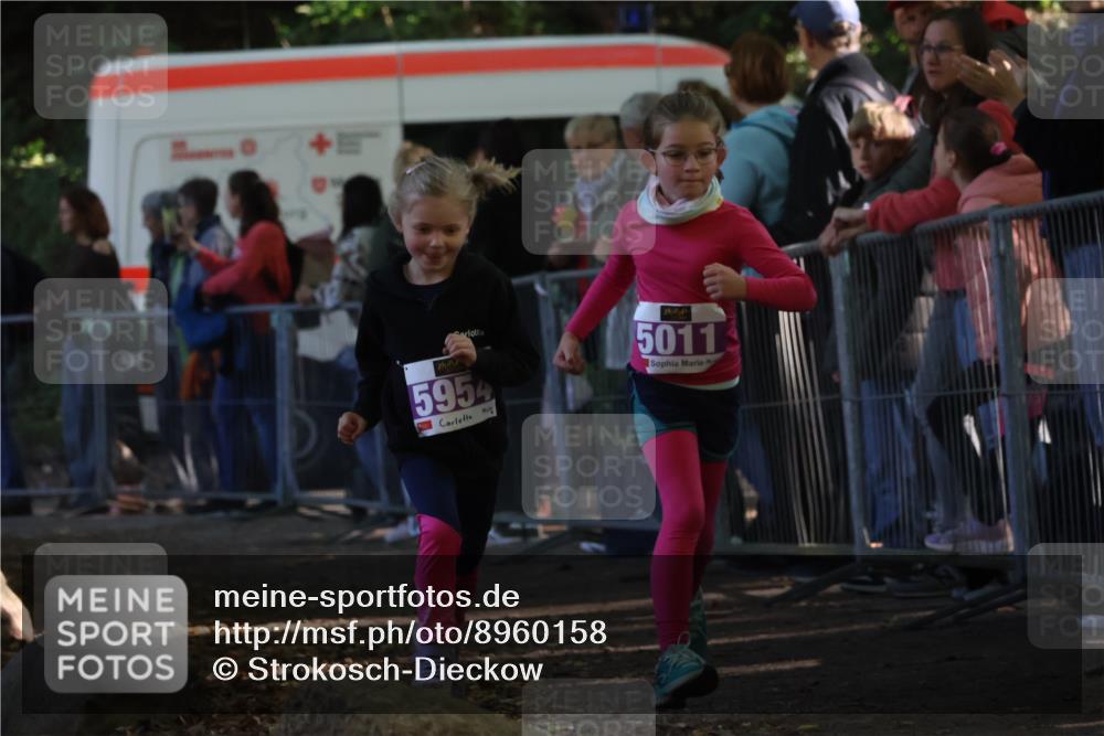 28.09.2025 - 33. Volkslauf durch das schöne Alstertal Strokosch-Dieckow http://msf.ph/oto/8960158 28.09.2025 10:48:01 Ziel 5011, 5954, 5963 meine-sportfotos.de