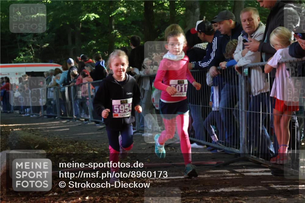 28.09.2025 - 33. Volkslauf durch das schöne Alstertal Strokosch-Dieckow http://msf.ph/oto/8960173 28.09.2025 10:48:04 Ziel 5011, 5954, 5956, 5963 meine-sportfotos.de