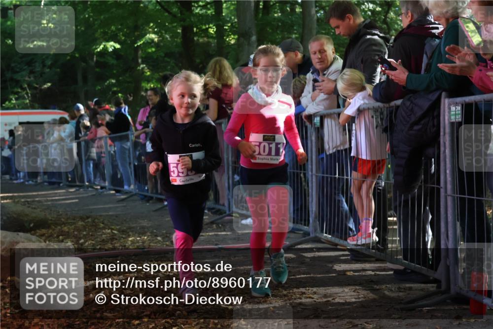 28.09.2025 - 33. Volkslauf durch das schöne Alstertal Strokosch-Dieckow http://msf.ph/oto/8960177 28.09.2025 10:48:04 Ziel 5011, 5954, 5956, 5963 meine-sportfotos.de