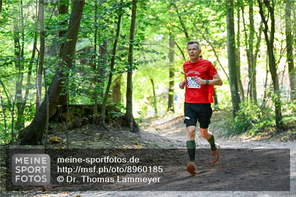 28.09.2025 - 33. Volkslauf durch das schöne Alstertal Dr. Thomas Lammeyer http://msf.ph/oto/8960185 28.09.2025 11:00:03 Laufen 300 meine-sportfotos.de
