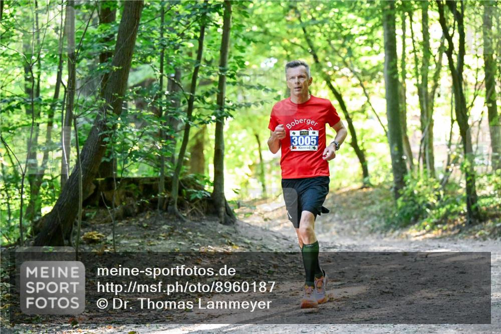 28.09.2025 - 33. Volkslauf durch das schöne Alstertal Dr. Thomas Lammeyer http://msf.ph/oto/8960187 28.09.2025 11:00:03 Laufen 0, 3005 meine-sportfotos.de