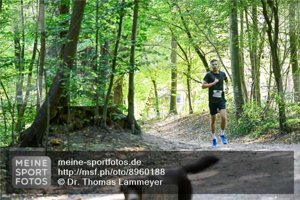 28.09.2025 - 33. Volkslauf durch das schöne Alstertal Dr. Thomas Lammeyer http://msf.ph/oto/8960188 28.09.2025 11:00:23 Laufen  meine-sportfotos.de