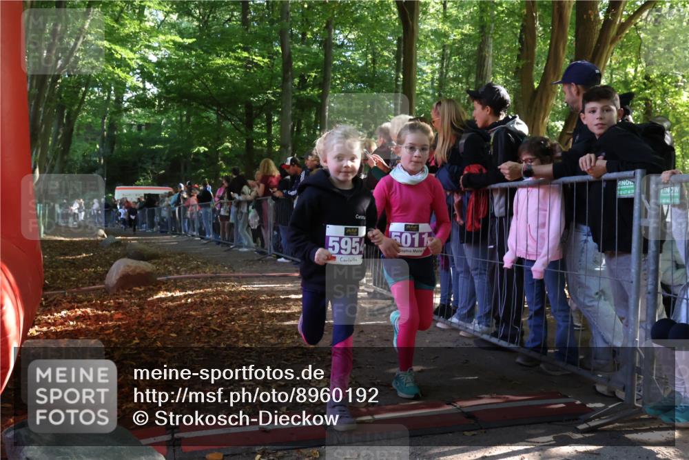 28.09.2025 - 33. Volkslauf durch das schöne Alstertal Strokosch-Dieckow http://msf.ph/oto/8960192 28.09.2025 10:48:05 Ziel 5011, 5954, 5956, 5963 meine-sportfotos.de