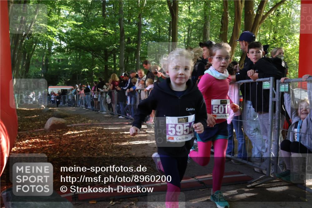 28.09.2025 - 33. Volkslauf durch das schöne Alstertal Strokosch-Dieckow http://msf.ph/oto/8960200 28.09.2025 10:48:05 Ziel 5011, 5954, 5956, 5963 meine-sportfotos.de
