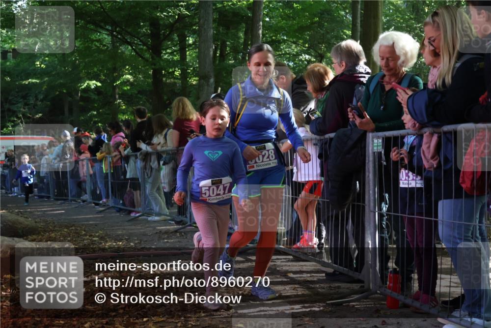28.09.2025 - 33. Volkslauf durch das schöne Alstertal Strokosch-Dieckow http://msf.ph/oto/8960270 28.09.2025 10:48:22 Ziel 5023, 5028, 5047 meine-sportfotos.de