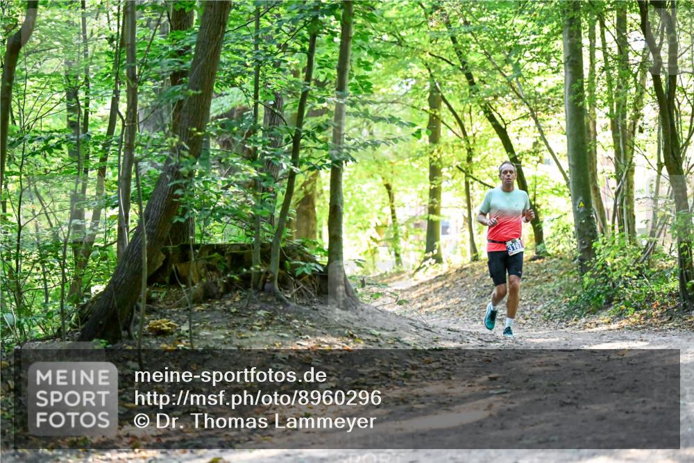 28.09.2025 - 33. Volkslauf durch das schöne Alstertal Dr. Thomas Lammeyer http://msf.ph/oto/8960296 28.09.2025 11:01:59 Laufen  meine-sportfotos.de