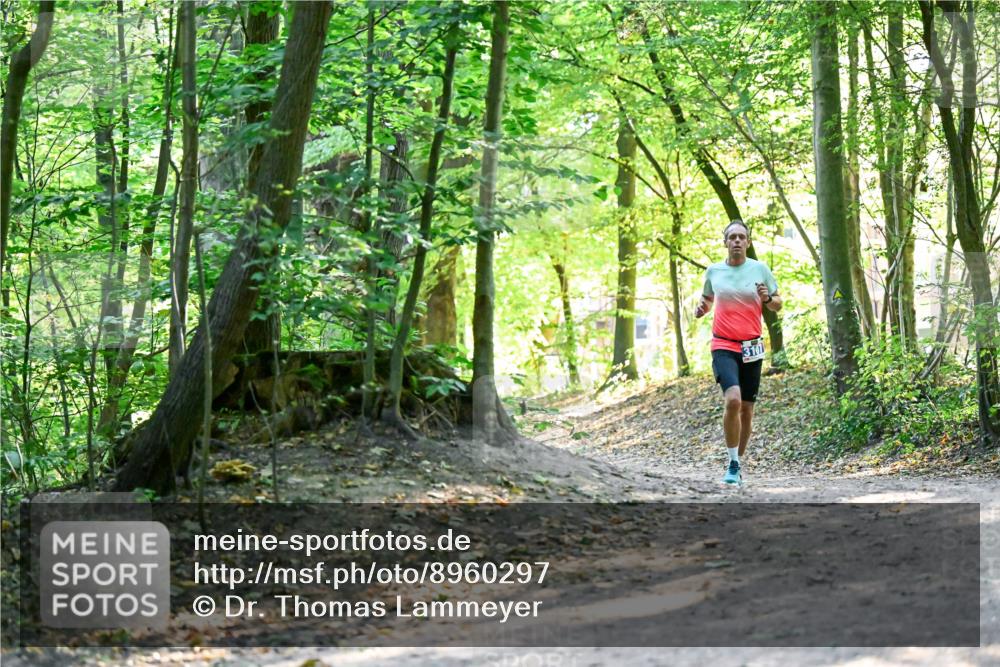28.09.2025 - 33. Volkslauf durch das schöne Alstertal Dr. Thomas Lammeyer http://msf.ph/oto/8960297 28.09.2025 11:01:59 Laufen 3107 meine-sportfotos.de