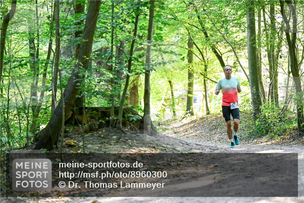 28.09.2025 - 33. Volkslauf durch das schöne Alstertal Dr. Thomas Lammeyer http://msf.ph/oto/8960300 28.09.2025 11:01:59 Laufen  meine-sportfotos.de