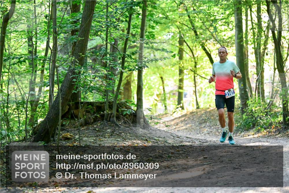 28.09.2025 - 33. Volkslauf durch das schöne Alstertal Dr. Thomas Lammeyer http://msf.ph/oto/8960309 28.09.2025 11:02:00 Laufen 3107 meine-sportfotos.de