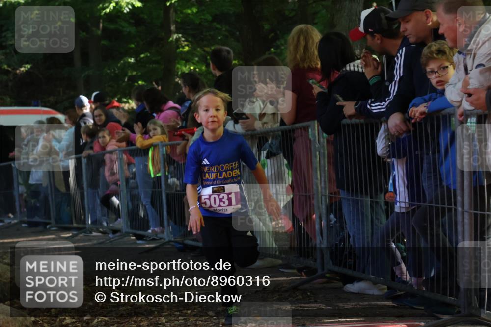 28.09.2025 - 33. Volkslauf durch das schöne Alstertal Strokosch-Dieckow http://msf.ph/oto/8960316 28.09.2025 10:48:39 Ziel 5031, 5967 meine-sportfotos.de