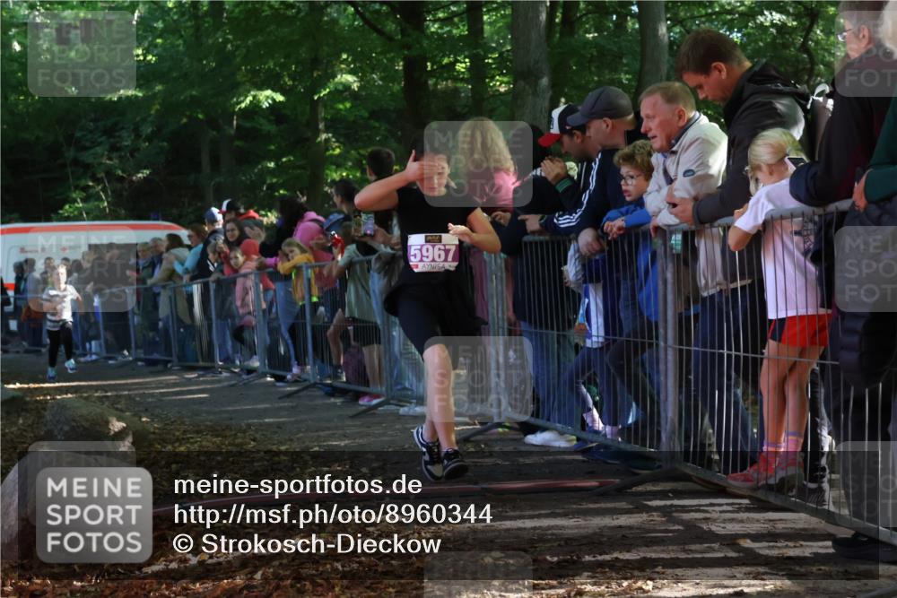 28.09.2025 - 33. Volkslauf durch das schöne Alstertal Strokosch-Dieckow http://msf.ph/oto/8960344 28.09.2025 10:48:44 Ziel 5036, 5967 meine-sportfotos.de