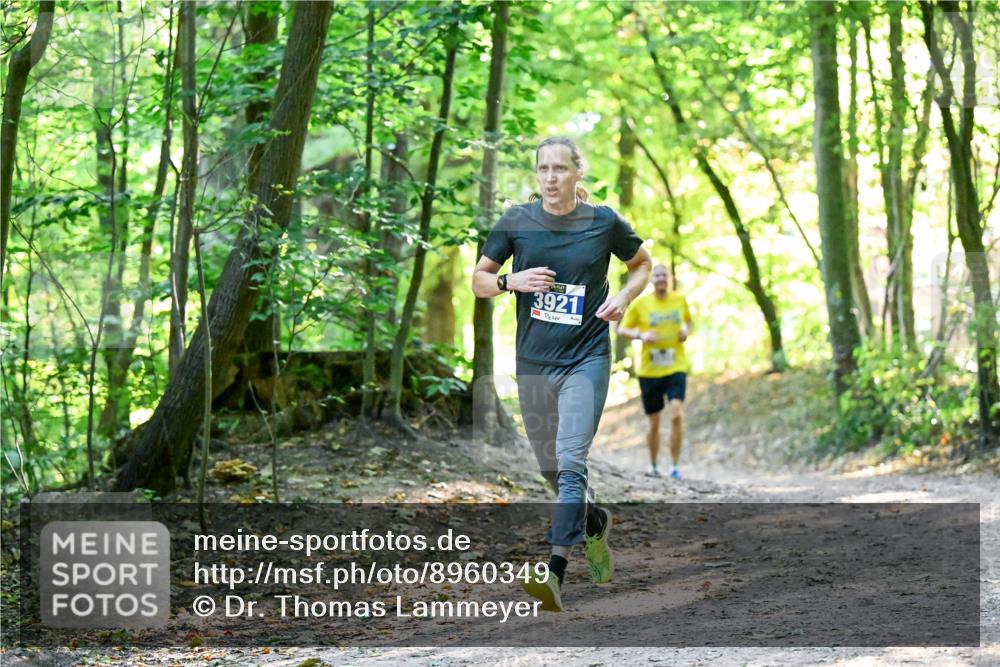 28.09.2025 - 33. Volkslauf durch das schöne Alstertal Dr. Thomas Lammeyer http://msf.ph/oto/8960349 28.09.2025 11:02:15 Laufen 3921 meine-sportfotos.de