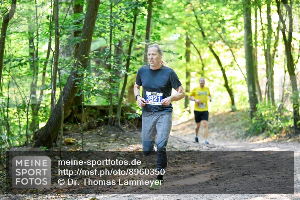 28.09.2025 - 33. Volkslauf durch das schöne Alstertal Dr. Thomas Lammeyer http://msf.ph/oto/8960350 28.09.2025 11:02:15 Laufen 3921 meine-sportfotos.de