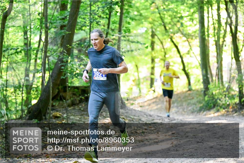 28.09.2025 - 33. Volkslauf durch das schöne Alstertal Dr. Thomas Lammeyer http://msf.ph/oto/8960353 28.09.2025 11:02:15 Laufen 392 meine-sportfotos.de